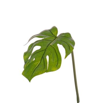 Decorative Philodendron Monstera Deliciosa leaf LANDER, 22"/55cm