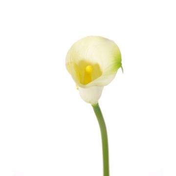 Fake Calla flower CHIDORA, cream, 22"/55cm, 2"x2.4"/5x6cm
