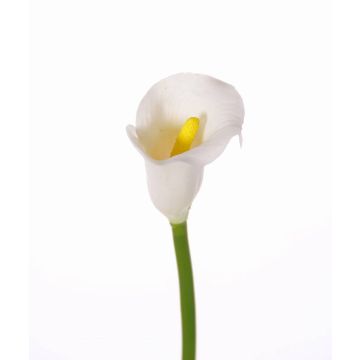 Fake Calla flower CHIDORA, white, 22"/55cm, 2"x2.4"/5x6cm