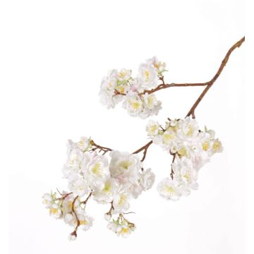 Decorative branch Japanese ornamental cherry RUKIA, flowering, white, 3ft/90cm