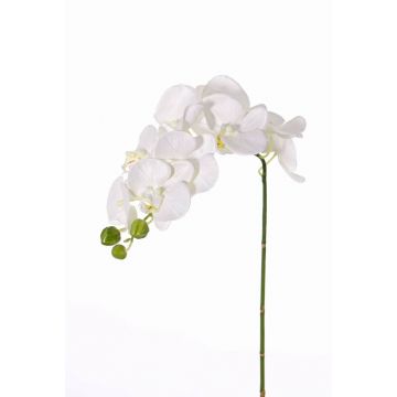 Artificial Phalaenopsis orchid branch GALINA, cream, 45cm