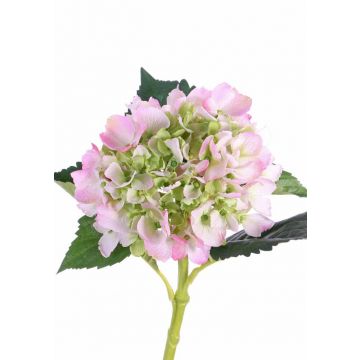 Textile flower hydrangea NICKY, pink-green, 20"/50cm, Ø 5.9"/15cm
