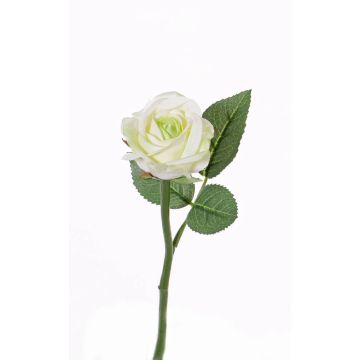 Artificial flower Rose GABI, cream-green, 10"/25cm, Ø 2"/5cm