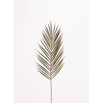 Decorative Areca palm frond ABIOLA, 28"/70cm
