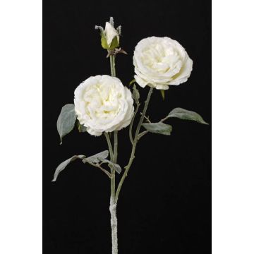 Silk cabbage-rose MADITA, snow, cream, 24"/60cm, Ø 3.5"/9cm