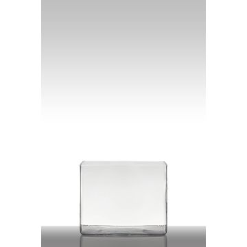 Flower pot of glass MIRJA, cuboid/rectangular, clear, 10"x7"x8"/25x18x20