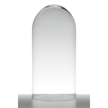 Glass cover / glass bell ADELINA, cylinder/round, clear, 16"/40cm, Ø7"/19cm