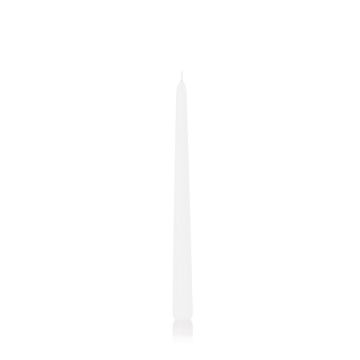 Table candle / Household candle PALINA, white, 12"/30cm, Ø1"/2,5cm, 13h - Made in Germany