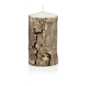 Trend candle / Motif candle KARLA, birch bark-wood optic, light brown, 5.9"/15cm, Ø 3.1"/8cm, 69h - Made in Germany