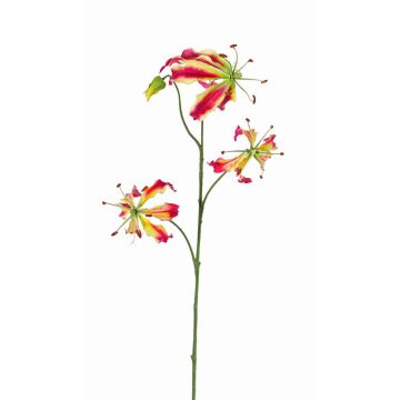 Artificial Gloriosa flower TIANA, fuchsia-green, 31"/80cm, Ø 3.1"-5.9"/8-15cm
