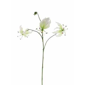 Artificial Gloriosa flower TIANA, white-green, 31"/80cm, Ø 3.1"-5.9"/8-15cm