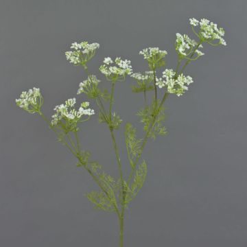 Artificial dill branch WINCENT with flowers, white-green, 31"/80cm