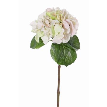 Artificial hydrangea CHIDORI, cream-pink, 24"/60cm, Ø 8"/20cm
