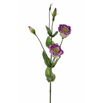 Artificial Lisianthus flower JUDIKA, violet-green, 28"/70cm, Ø 2"/5cm