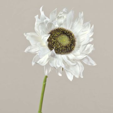 Artificial sunflower JANIKA, cream, 24"/60cm, Ø 4.7"/12cm