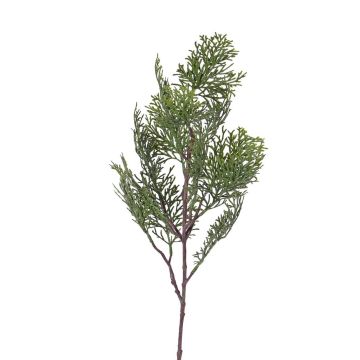 Artificial cypress branch FROWIN, green, 24"/60cm