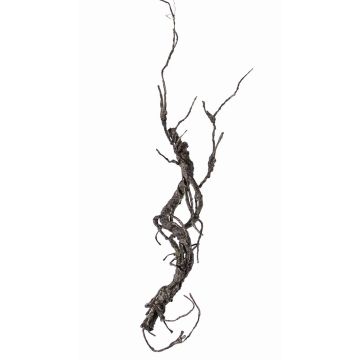 Decorative corkscrew willow branch JACE, brown-grey, 22"/55cm