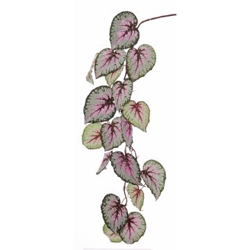 Decorative begonia rex spray KATRICE, violet-green, 4ft/110cm