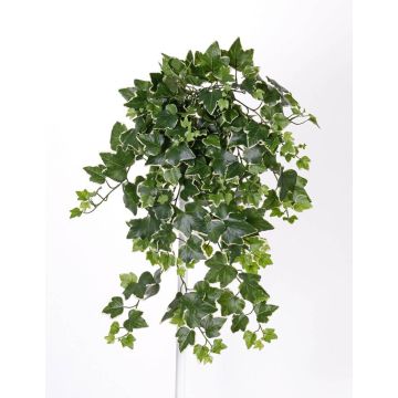 Decorative ivy vine TILL, spike, crossdoor, green-white, 26"/65cm