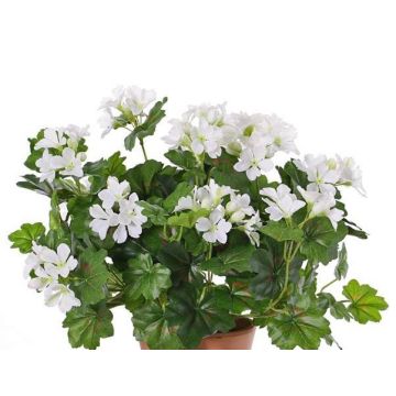 Decorative geranium BERENIKE on spike, crossdoor, white, 16"/40cm, Ø 2"-3.1"/5-8cm