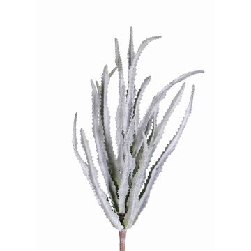 Decorative Euphorbia trigona REESE on spike, grey-green, 12"/30cm, Ø 8"/20cm