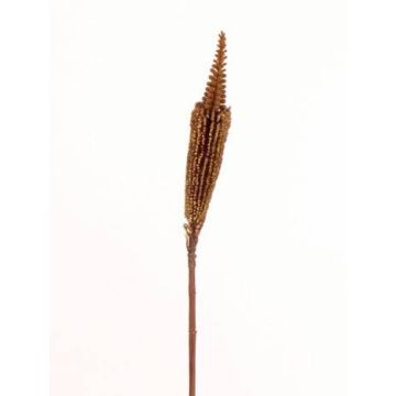 Artificial Bulbinella TALUNA, light brown, 26"/65cm, Ø 2.4"/6cm