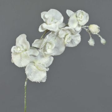 Artificial Phalaenopsis orchid MYRIA, snow, white, 30"/75cm