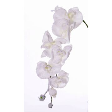 Artificial Phalaenopsis orchid MYRIA, snow, white, 30"/75cm