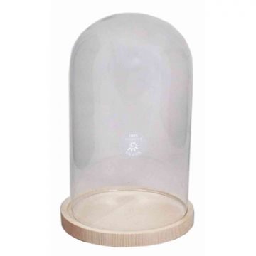 Glass bell SABIKA, with plate, cylinder/round, clear, 12"/30cm, Ø7"/19cm 