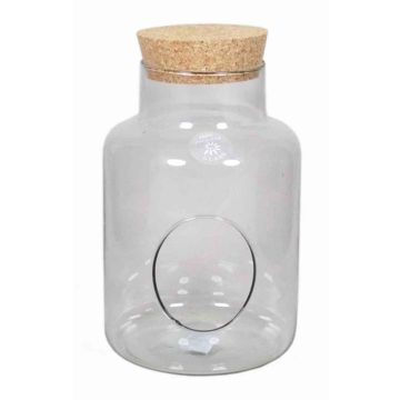 Glass Terrarium DONELL, cork lid, side opening, cylinder/round, clear, 10"/25cm, Ø7"/17cm 