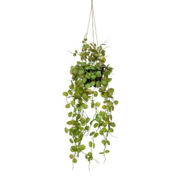 Decorative candelabra flower hanging basket BOLTEN, green, 20"/50cm