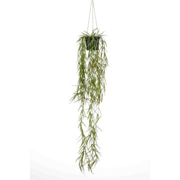Decorative coral cactus hanging basket BOLTEN, green, 31"/80cm