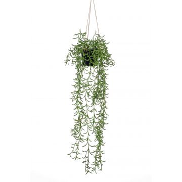 Decorative Senecio hanging basket BOLTEN, green, 28"/70cm