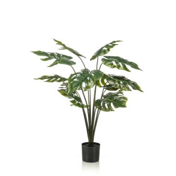 Decorative Philodendron Monstera Deliciosa AWEO, 3ft/95cm