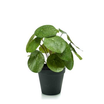 Artificial pancake plant SYBIL, green, 8"/20cm