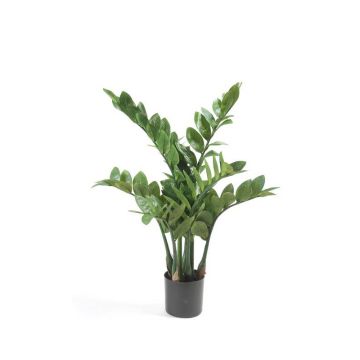 Decorative plant Zamioculcas SIMANO, 28"/70cm