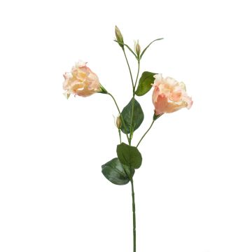 Textile flower Lisianthus JENO, cream-pink, 24"/60cm