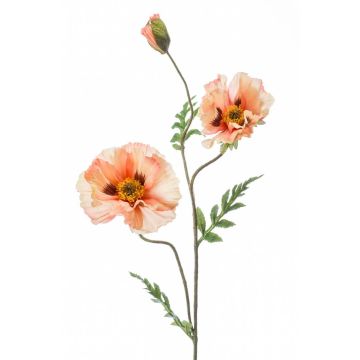 Decorative poppy LOPEZ, cream-pink, 3ft/90cm