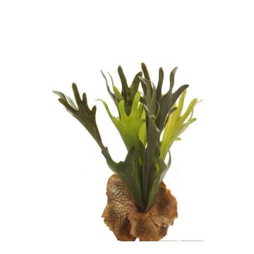 Decorative staghorn fern BAROJA on spike, green, 16"/40cm