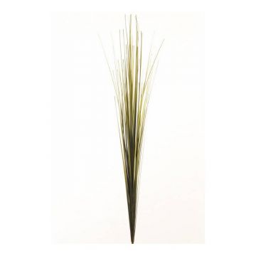 Decorative Foxtail Grass ZAIRA on spike, green, 3ft/90cm