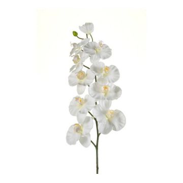 Artificial Phalaenopsis orchid branch ANAT, cream, 3ft/100cm