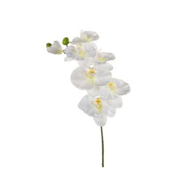 Artificial Phalaenopsis orchid branch BASTET, white, 31"/80cm