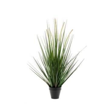 Decorative Foxtail grass OTIS with panicles, green, 22"/55cm