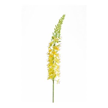 Textile flower foxtail lily AOMORI, yellow, 3ft/105cm