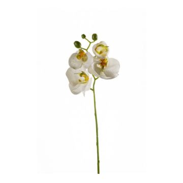 Decorative Phalaenopsis orchid branch MINA, white, 22"/55cm