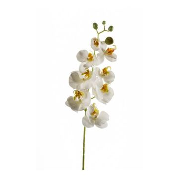 Decorative Phalaenopsis orchid branch MINA, white, 28"/70cm