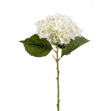 Artificial hydrangea flower EGIA, cream, 20"/50cm