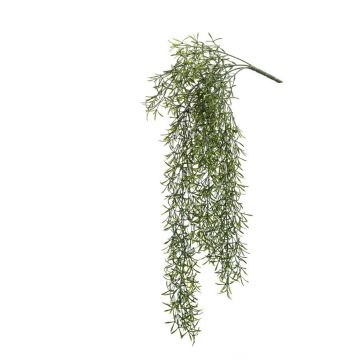 Decorative cactus Rhipsalis PUEBLA, spike, green, 30"/75cm