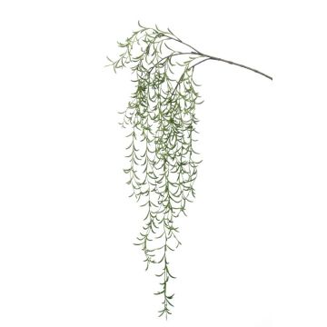Decorative spray Rhipsalis PUEBLA, spike, green, 4ft/120cm