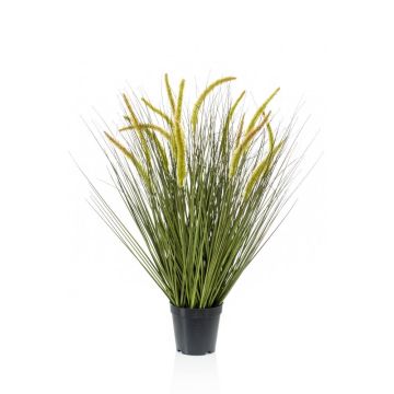Decorative Foxtail grass CAREL with panicles, green, 28"/70cm